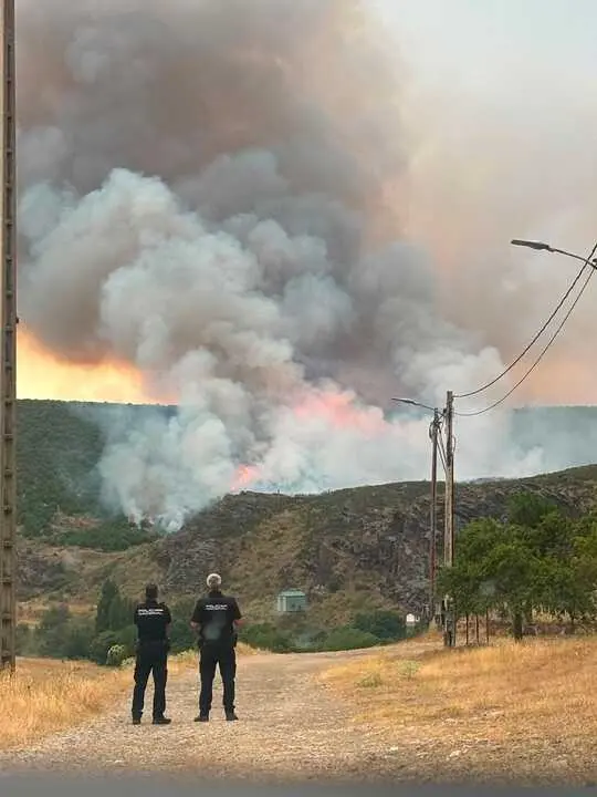 incendio Carrascal  (6)