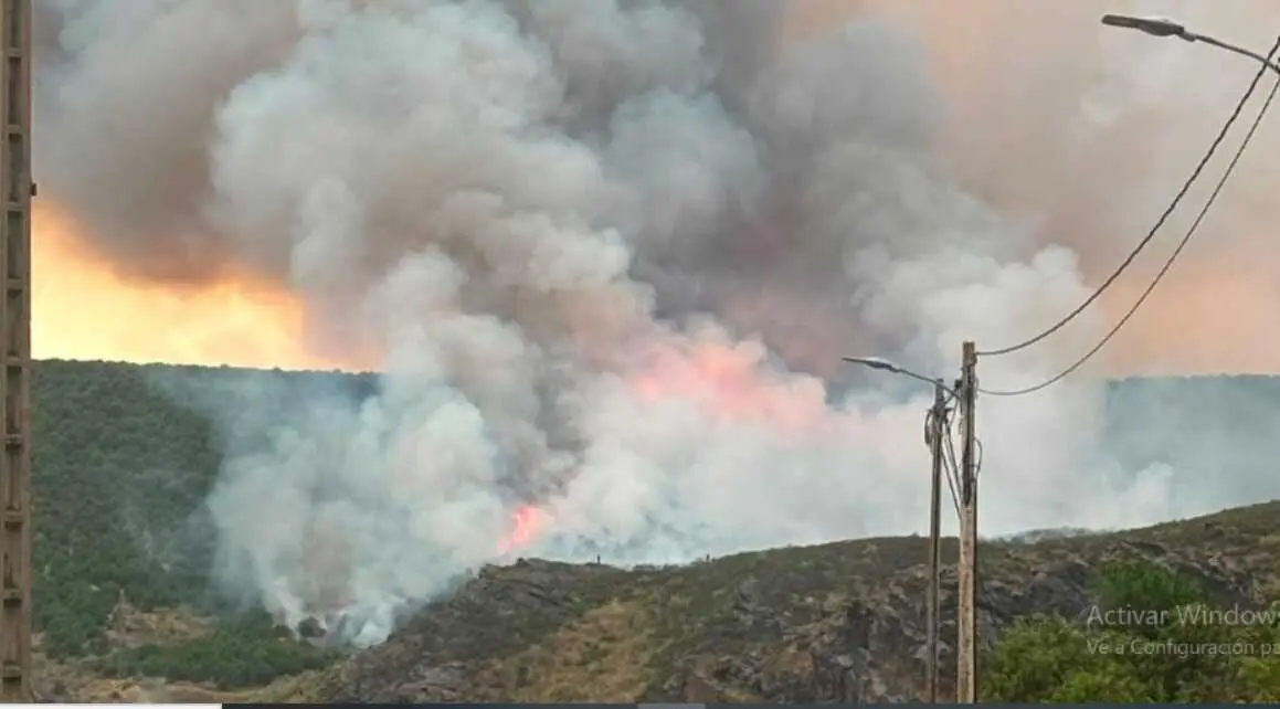 incendio Carrascal  (8)