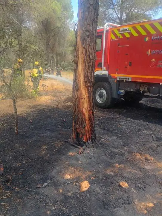 Incendio forestal Villalpando 