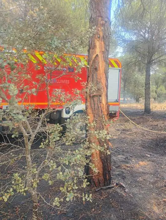 Incendio forestal Villalpando _2