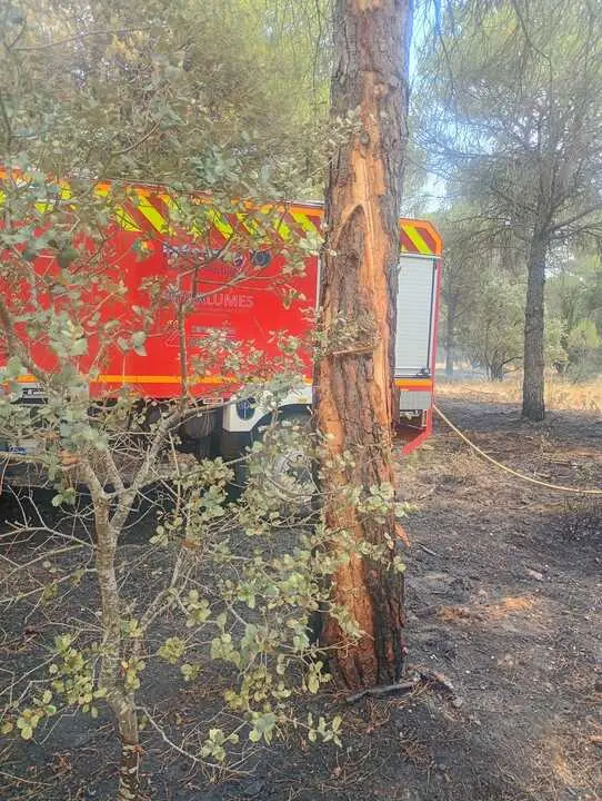 Incendio forestal Villalpando _3