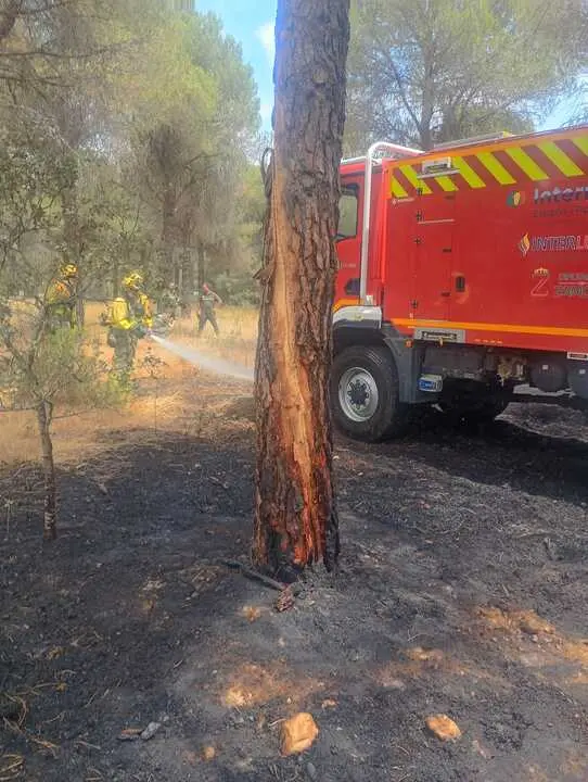 Incendio forestal Villalpando _4