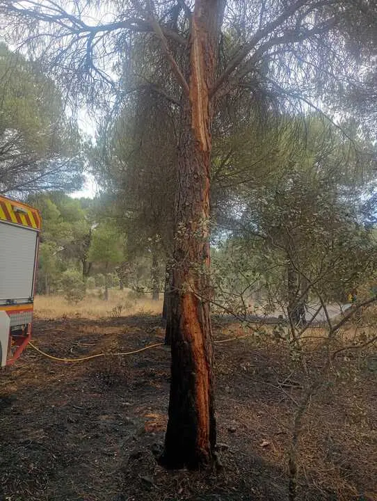 Incendio forestal Villalpando _7