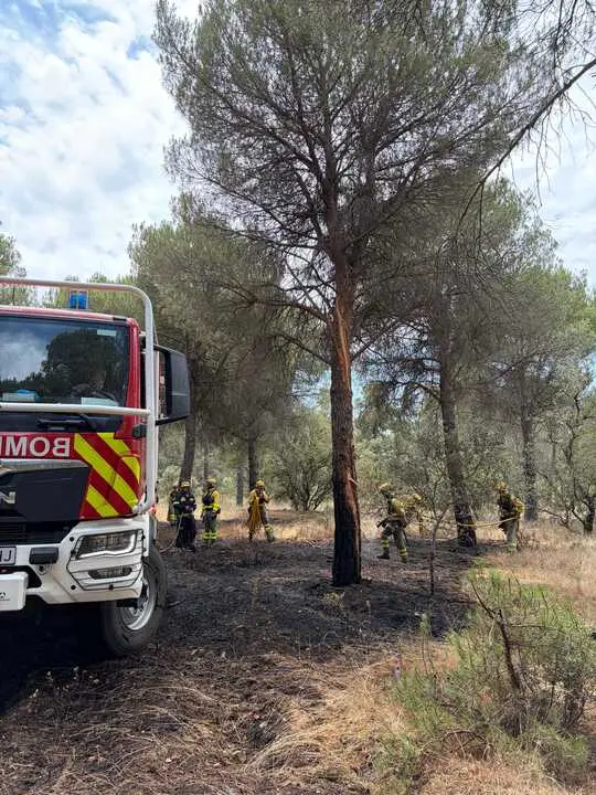Incendio forestal Villalpando _9