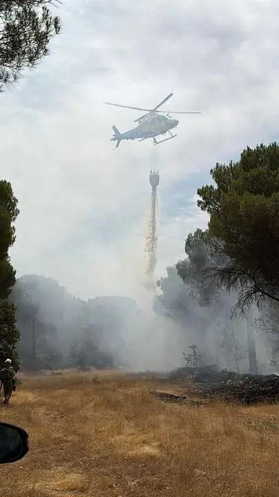 Incendio forestal Villalpando _10