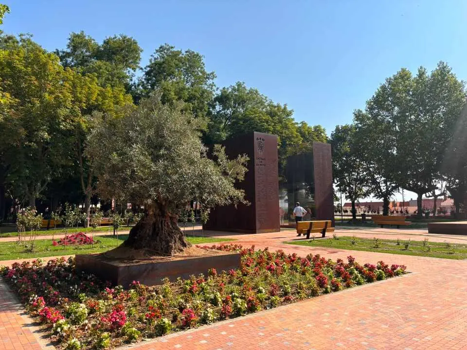 Zona de La Rosaleda Paseo de la Mota Benavente _6