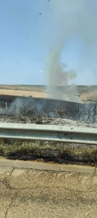 Incendio en El Perdig&oacute;n _3