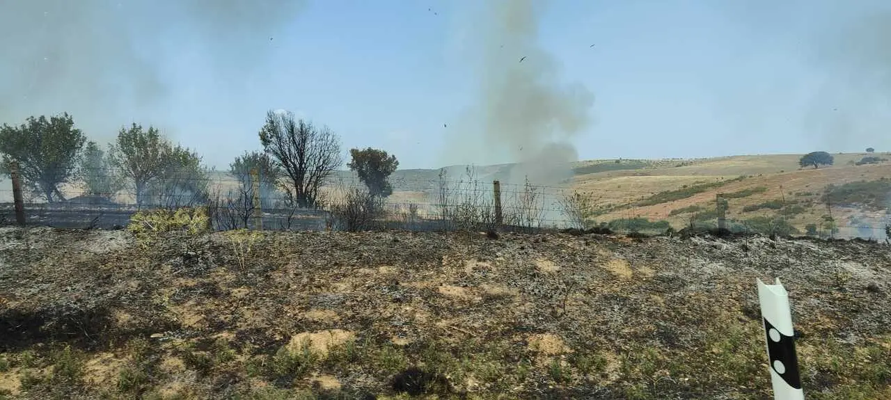 Incendio en El Perdig&oacute;n _5