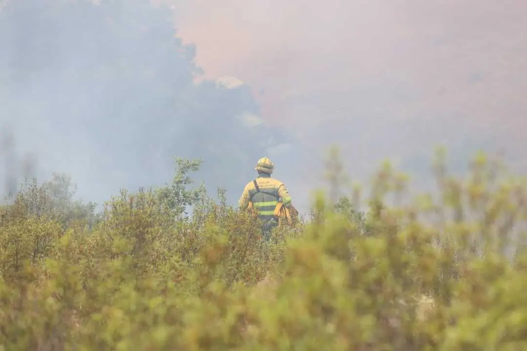 Incendio en El Perdig&oacute;n _13