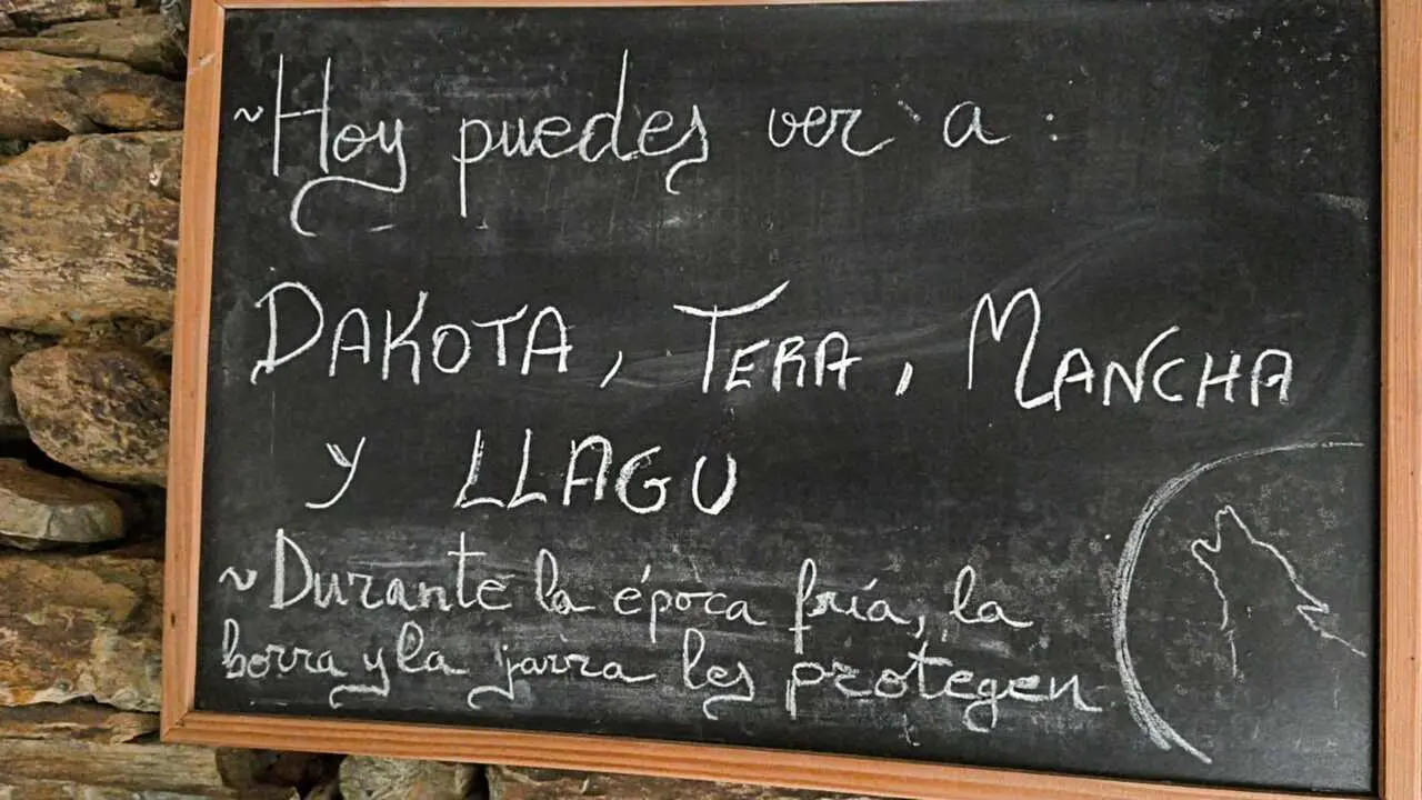 centro del lobo Motos Sanabria  (13)
