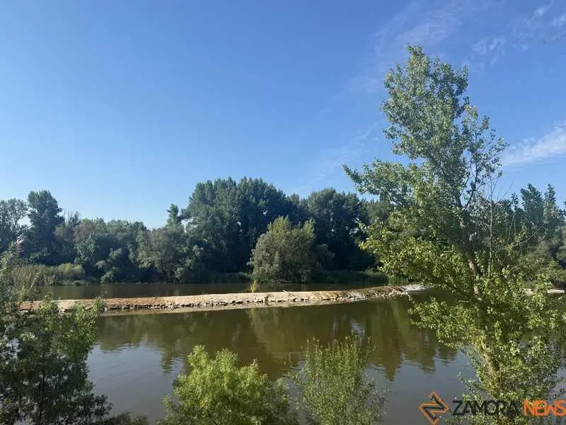 d&iacute;a soleado en Zamora _5