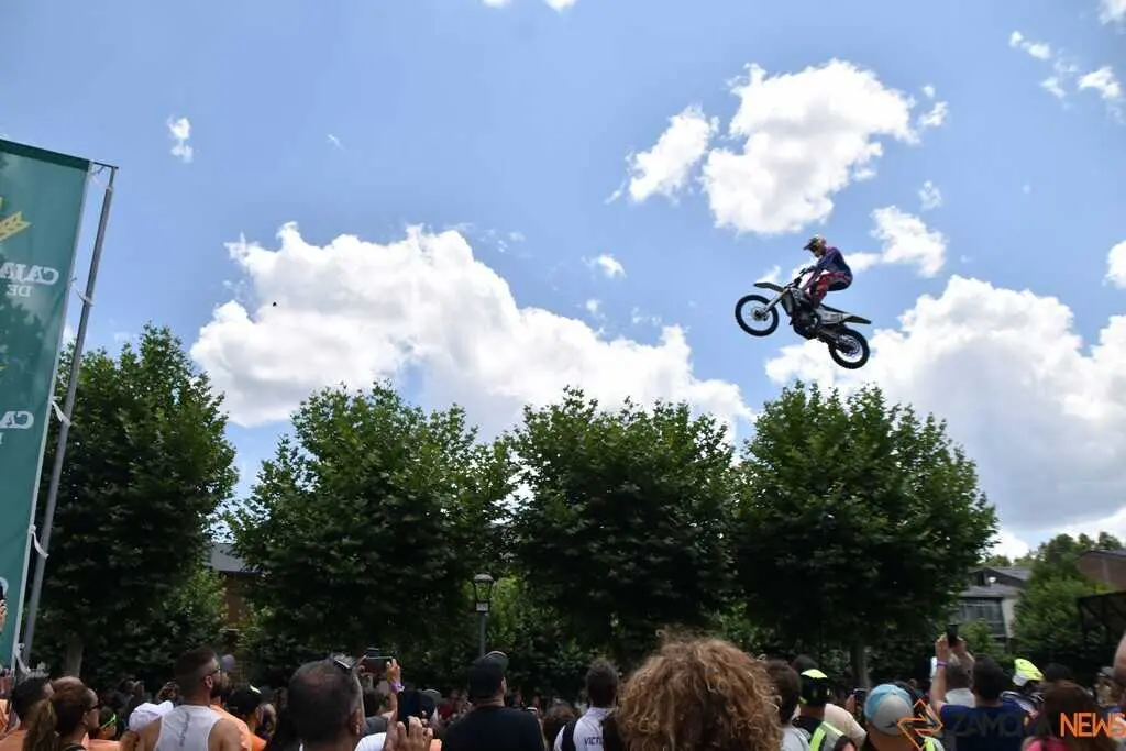 freestyle