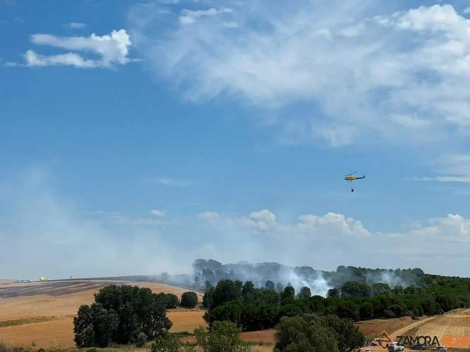 Incendio Gallegos _3