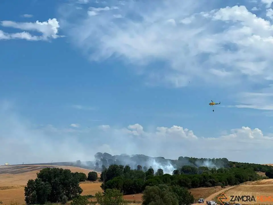 Incendio Gallegos _5
