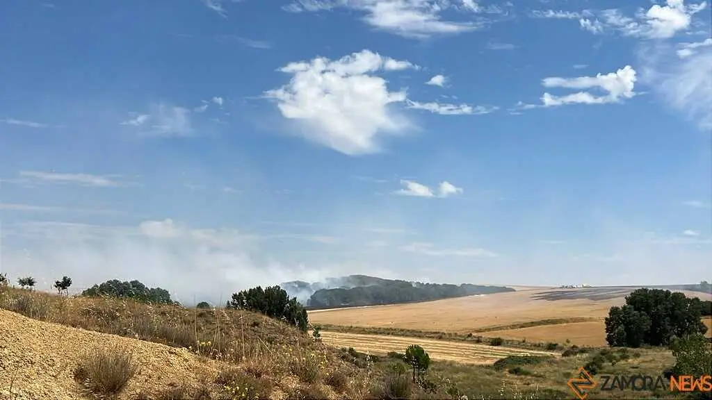 Incendio Gallegos _6