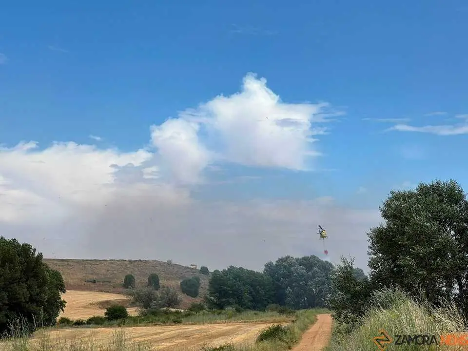 Incendio Gallegos _10