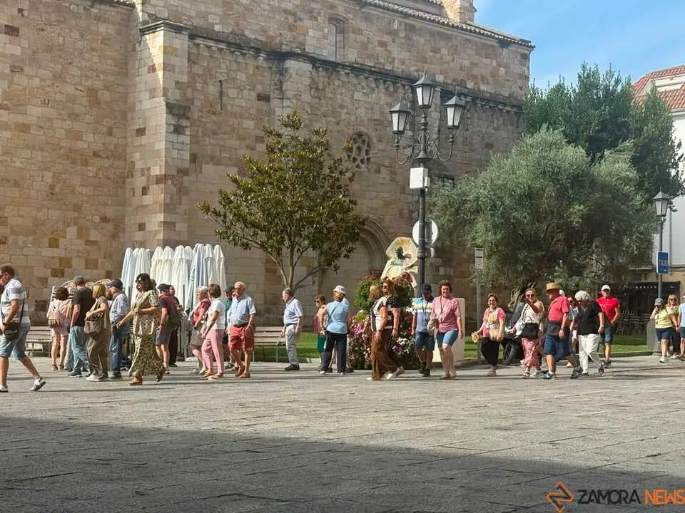 Turistas Zamora _2