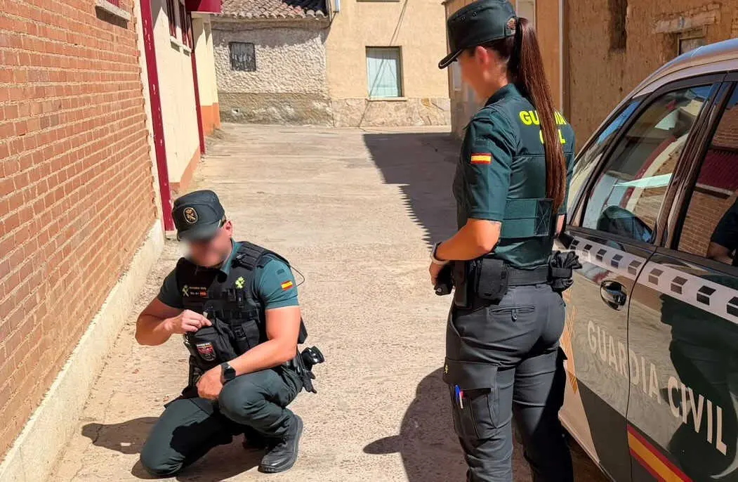 la Guardia Civil investiga un caso de maltrato animal en Villalpando