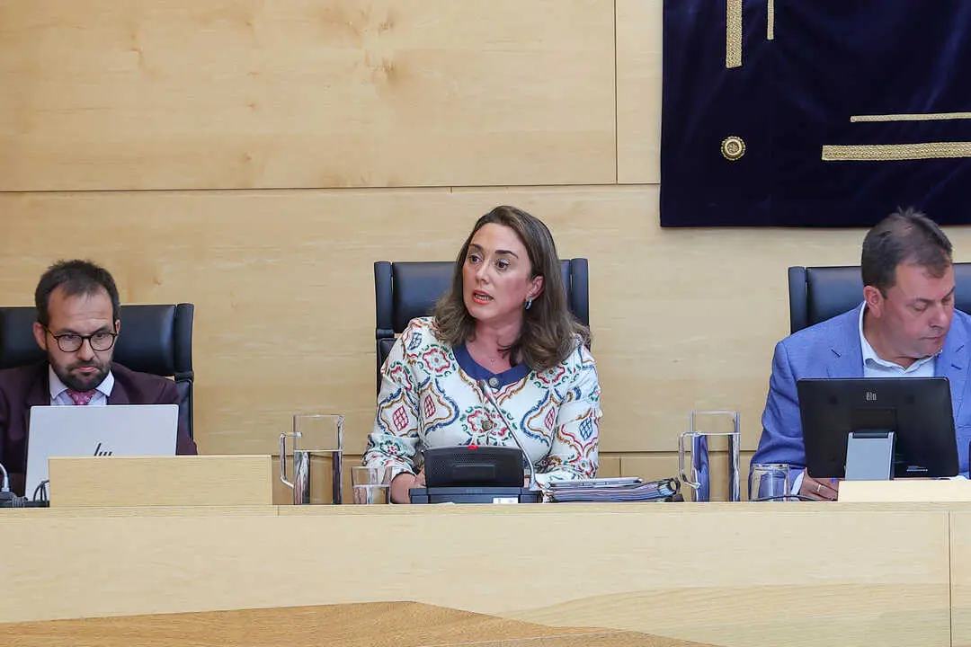 Comparecencia inicio de legislatura