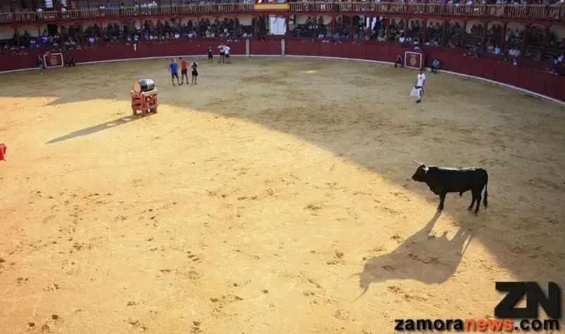 Plaza de toros de Toro
