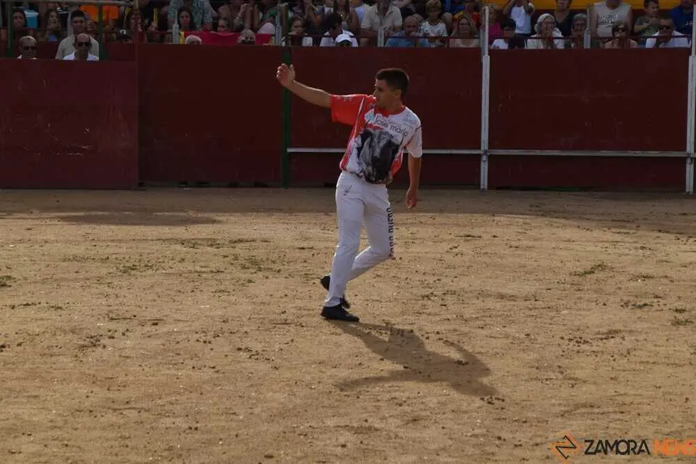 Cortes moraleja Zamora 2026