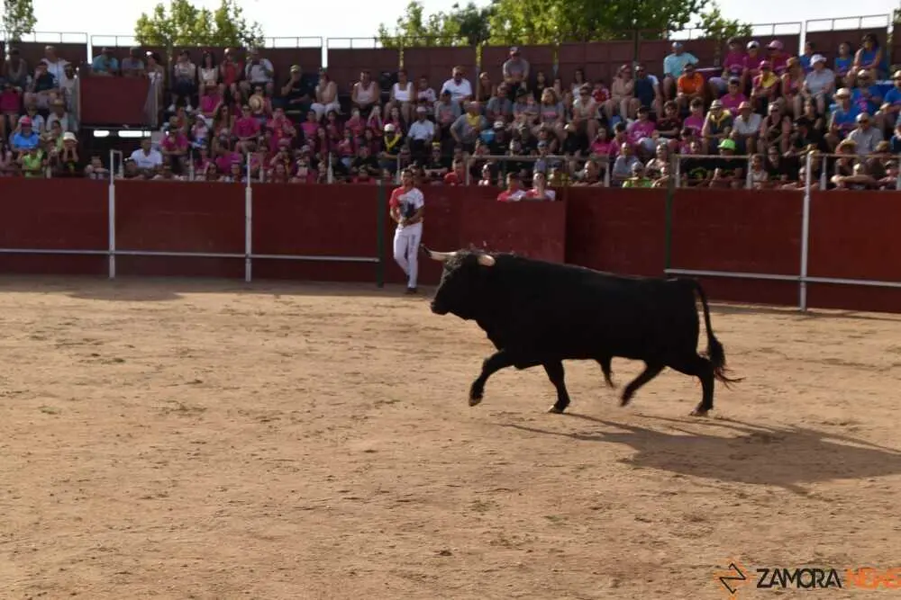 Cortes moraleja Zamora 2026_20