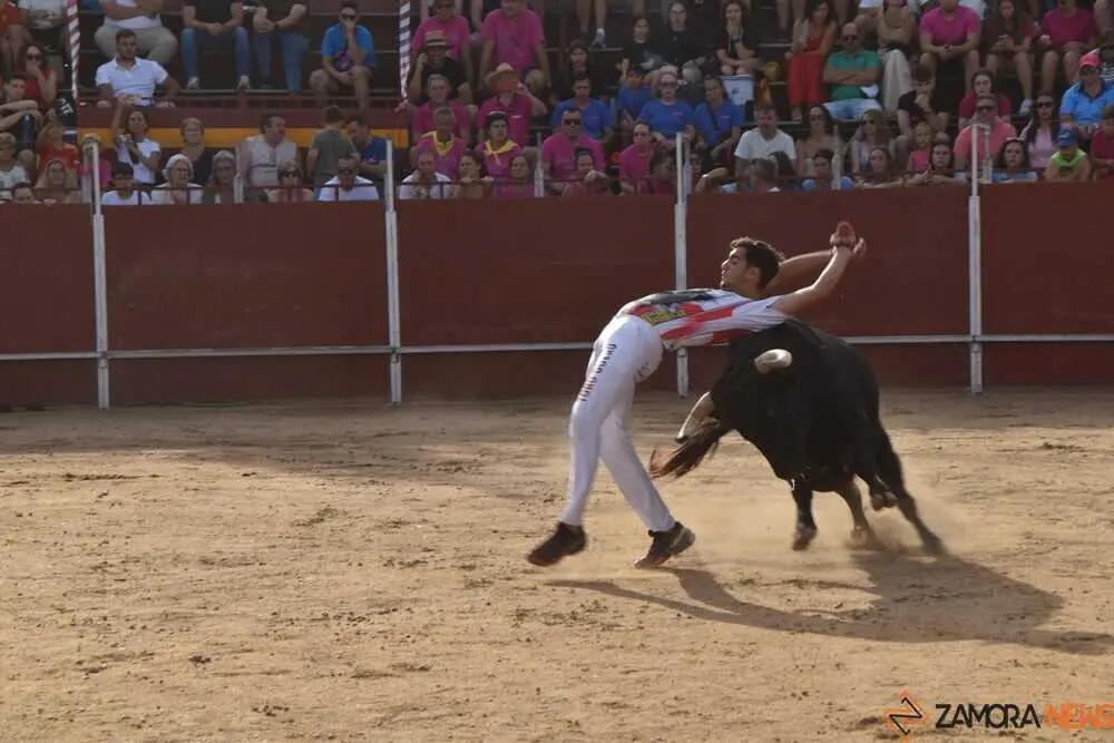 Cortes moraleja Zamora 2026_22