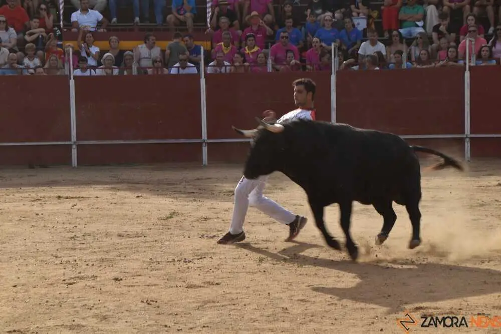 Cortes moraleja Zamora 2026_23