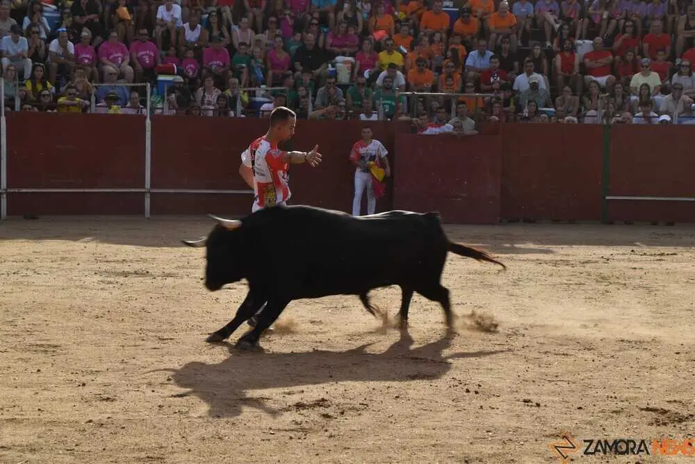Cortes moraleja Zamora 2026_25