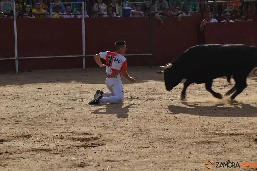 Cortes moraleja Zamora 2026_27