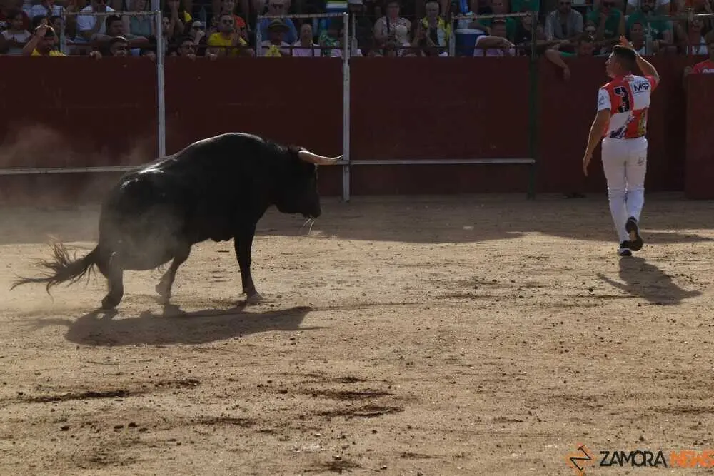 Cortes moraleja Zamora 2026_29