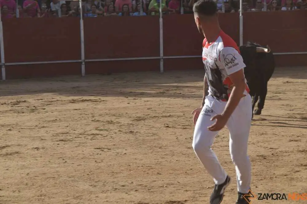 Cortes moraleja Zamora 2026_30