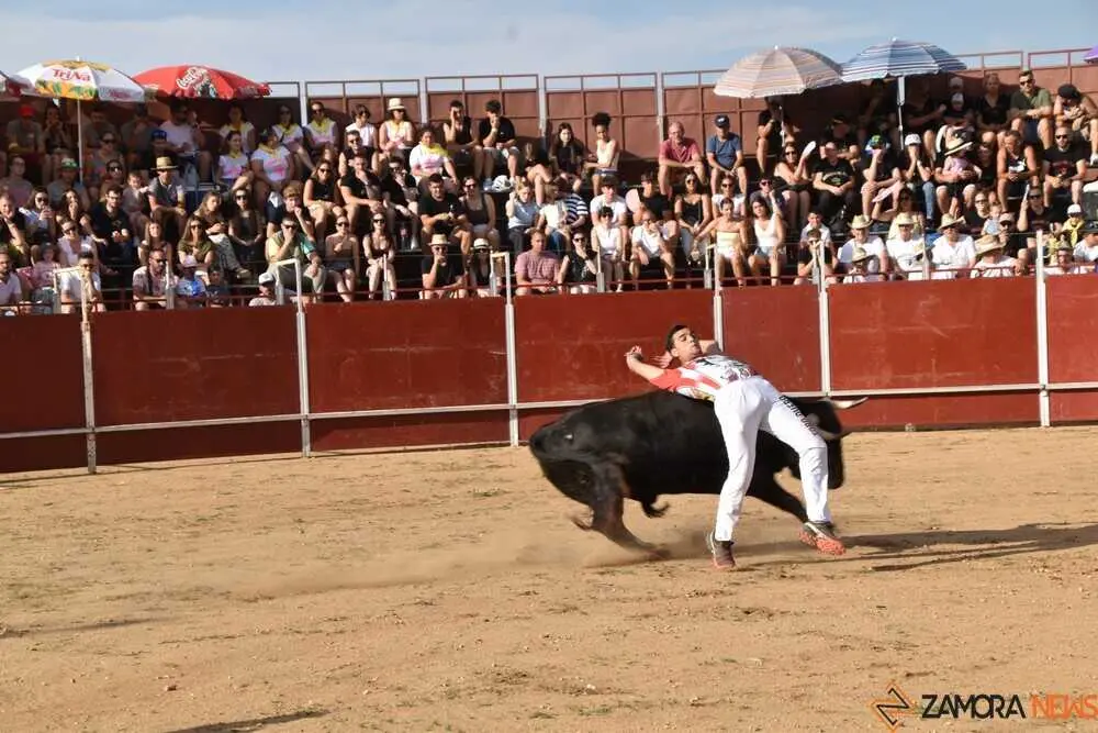 Cortes moraleja Zamora 2026_31