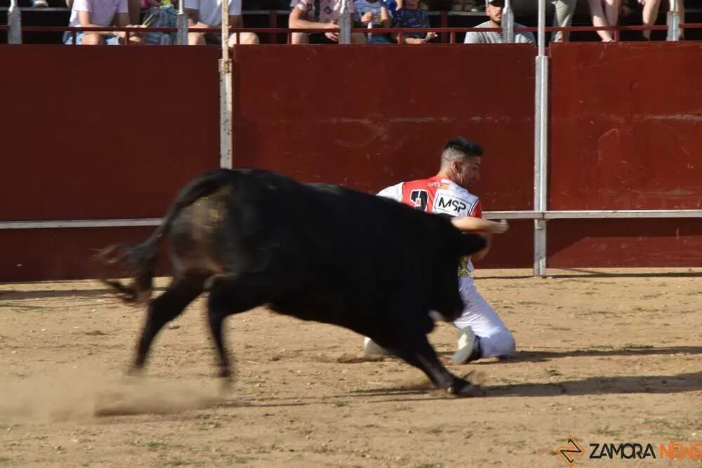 Cortes moraleja Zamora 2026_37