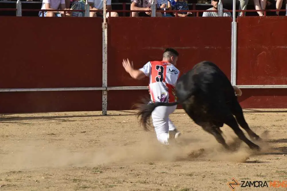 Cortes moraleja Zamora 2026_38