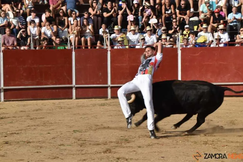Cortes moraleja Zamora 2026_46