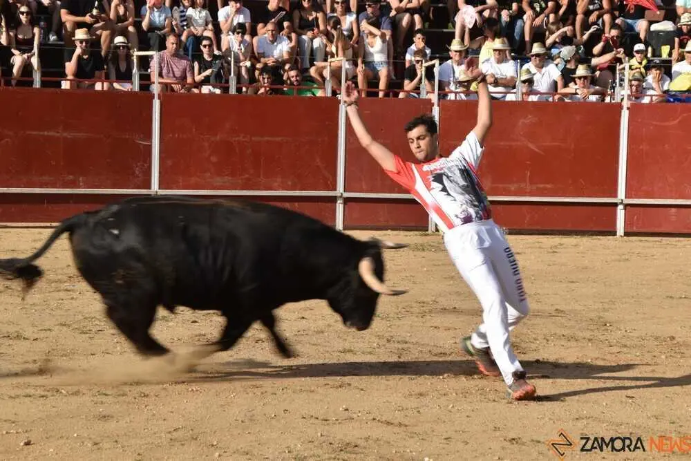 Cortes moraleja Zamora 2026_48