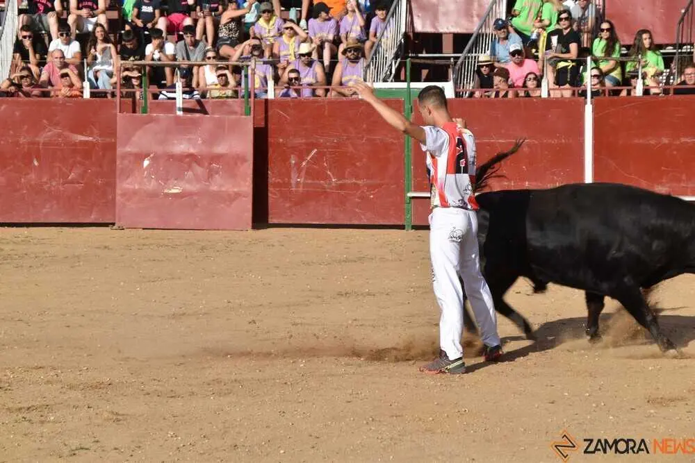 Cortes moraleja Zamora 2026_53