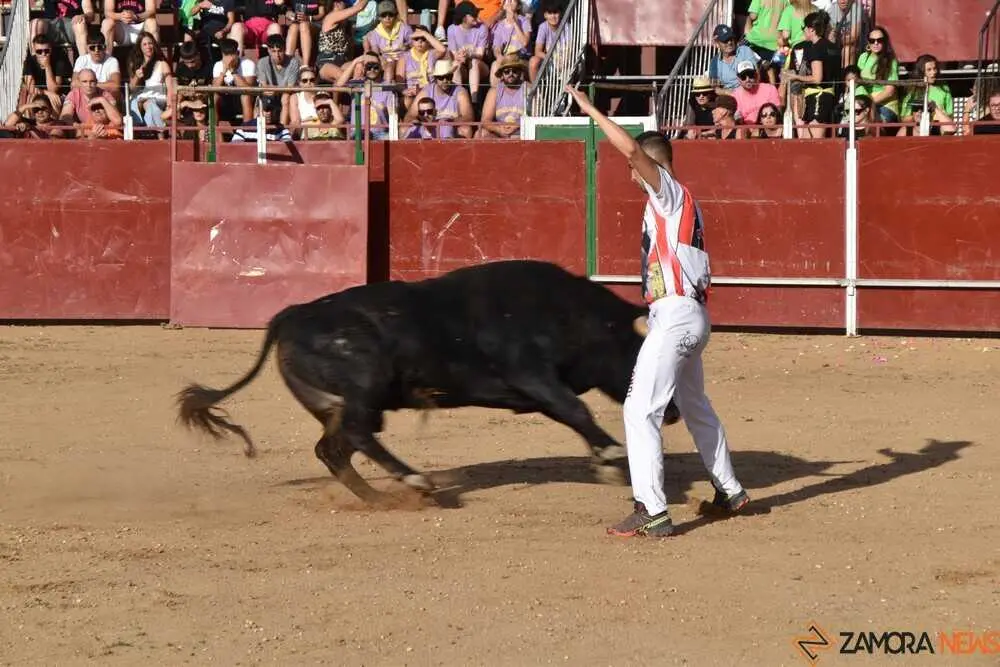 Cortes moraleja Zamora 2026_52