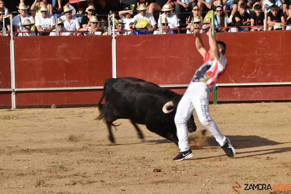 Cortes moraleja Zamora 2026_56