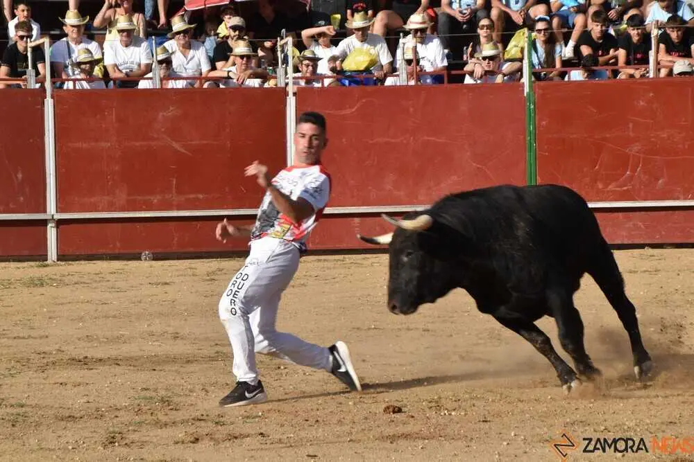 Cortes moraleja Zamora 2026_57