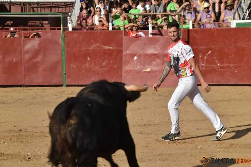 Cortes moraleja Zamora 2026_58