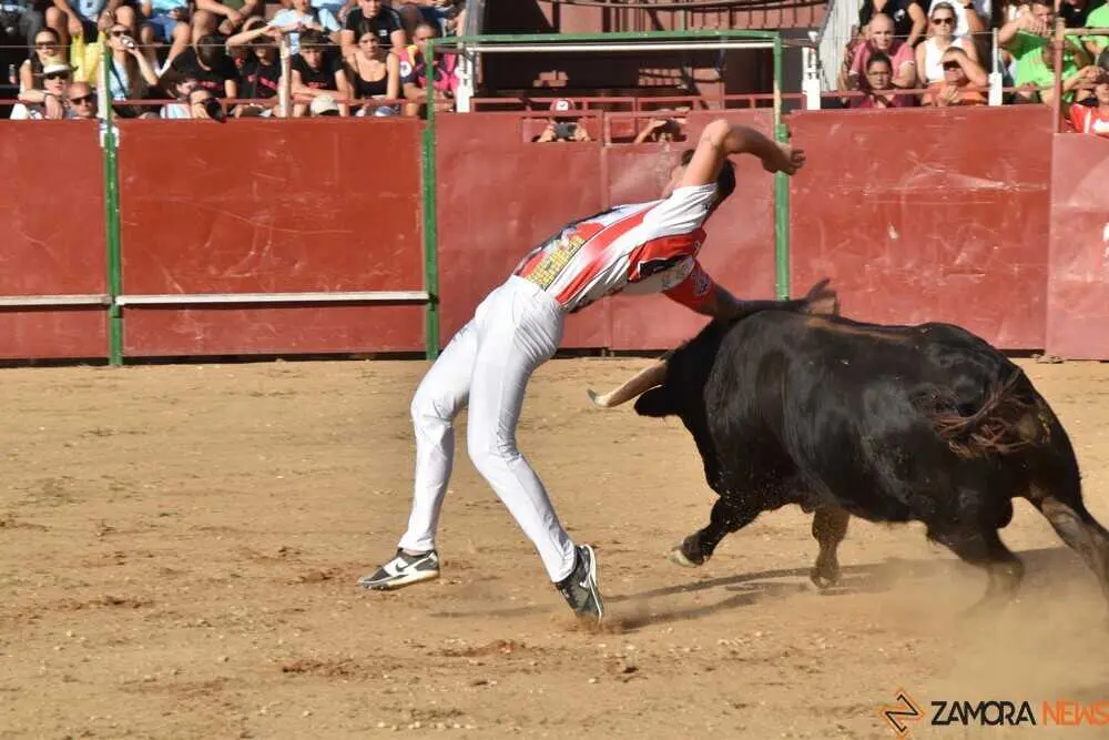 Cortes moraleja Zamora 2026_59