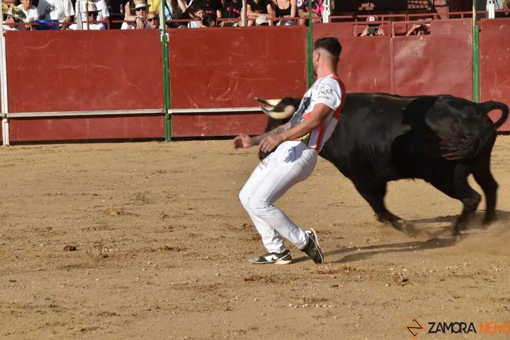 Cortes moraleja Zamora 2026_60