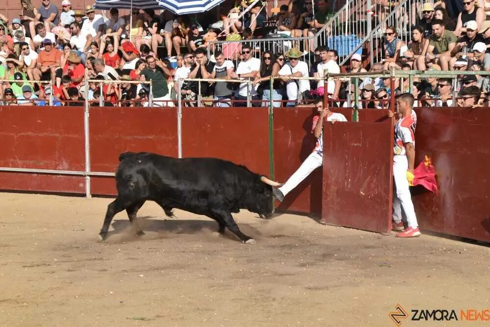 Cortes moraleja Zamora 2026_64