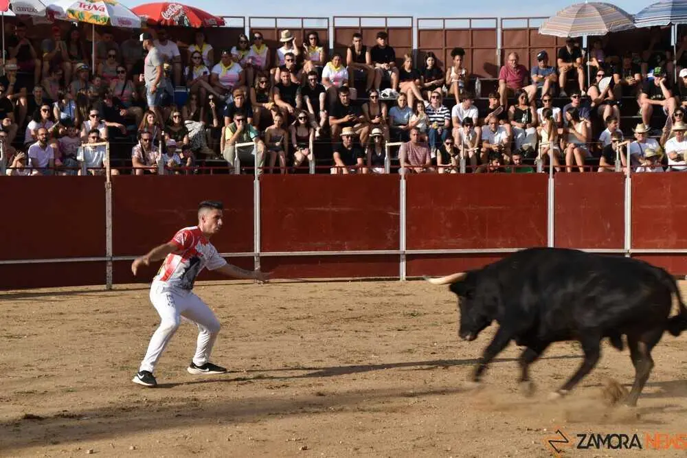Cortes moraleja Zamora 2026_67