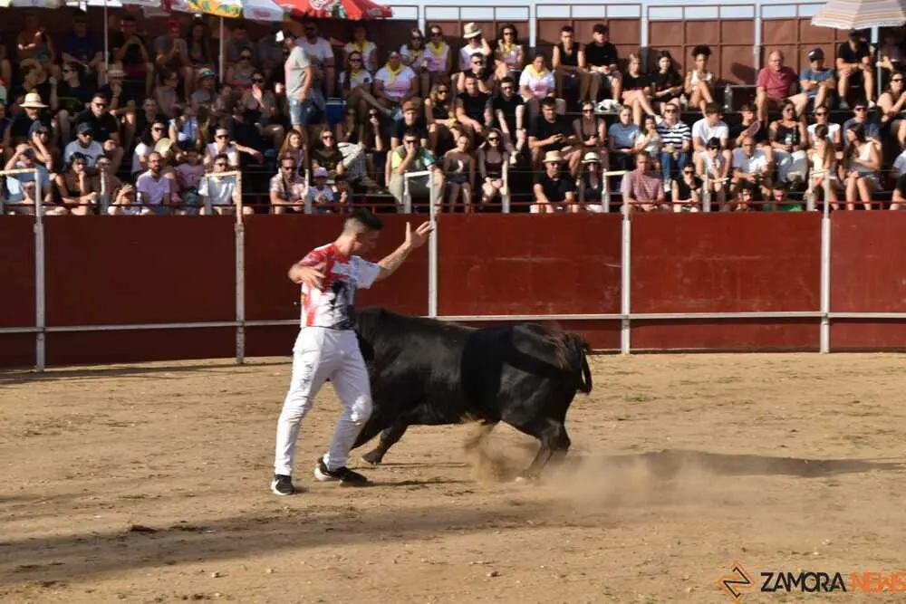 Cortes moraleja Zamora 2026_68