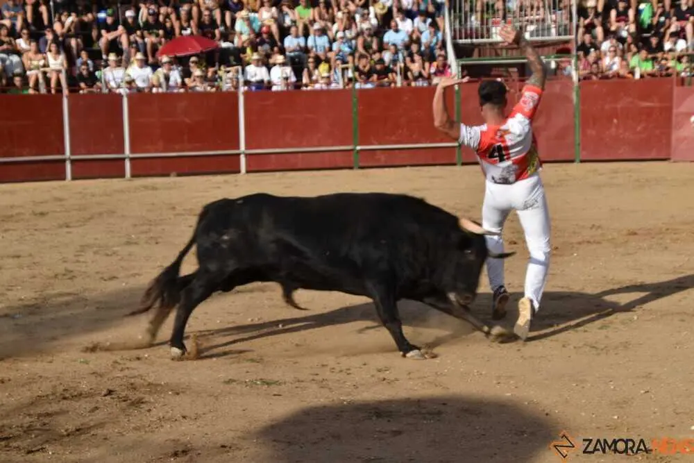 Cortes moraleja Zamora 2026_70