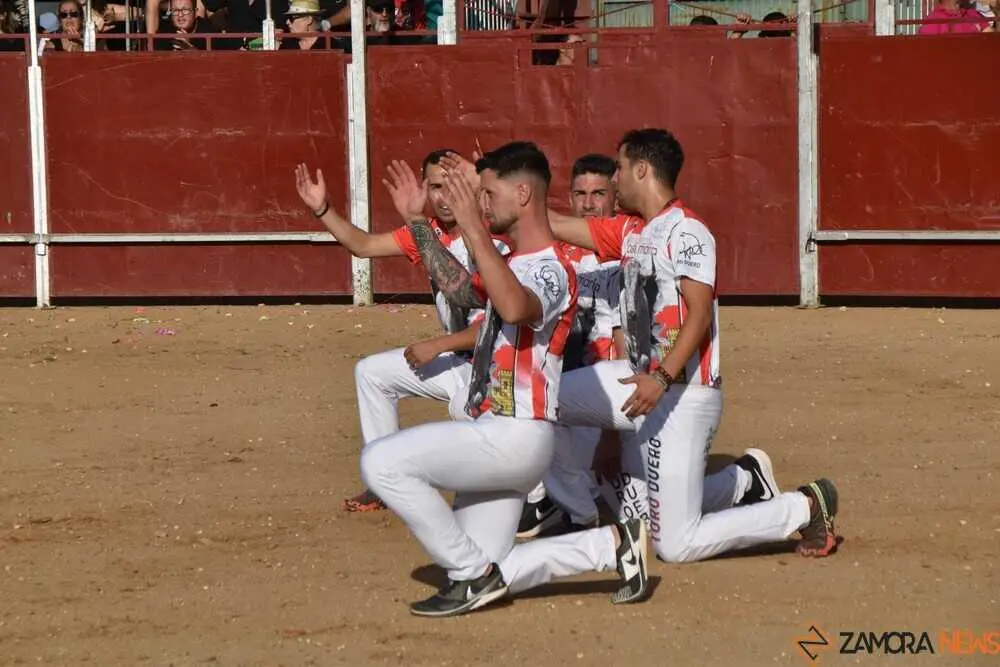 Cortes moraleja Zamora 2026_72