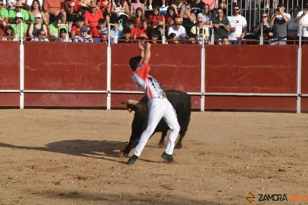 Cortes moraleja Zamora 2026_89